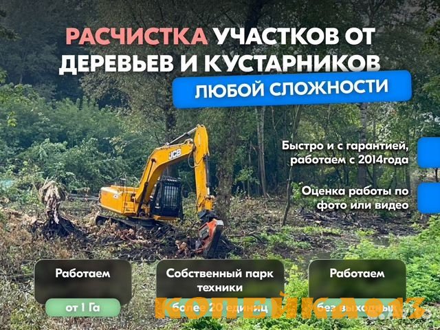 Расчистка территорий от деревьев и пней от 1 Га