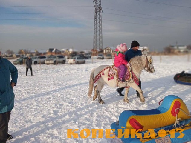 катание на санях и карете
