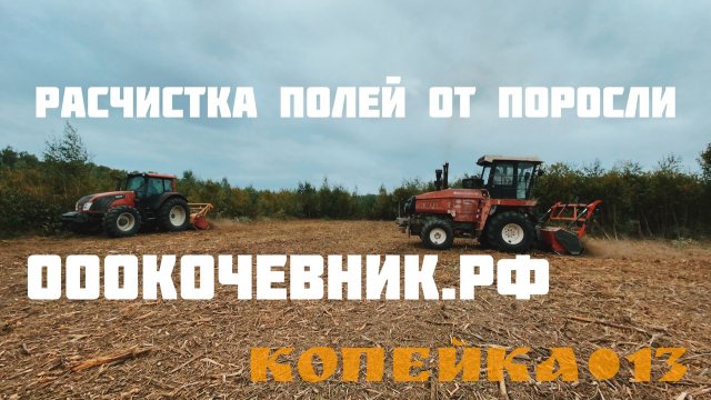 Услуги/Аренда Мульчера. Комплексная расчистка с/х полей. Валка леса