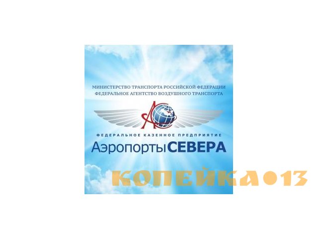 Ведущий инженер службы аэронавигационной информации