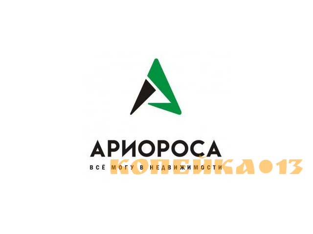 Junior Developer