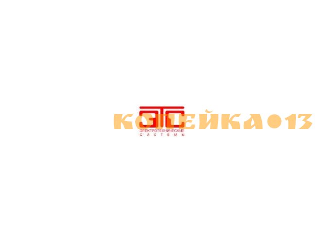 Главный руководитель проекта