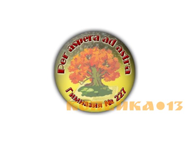 Учитель китайского языка