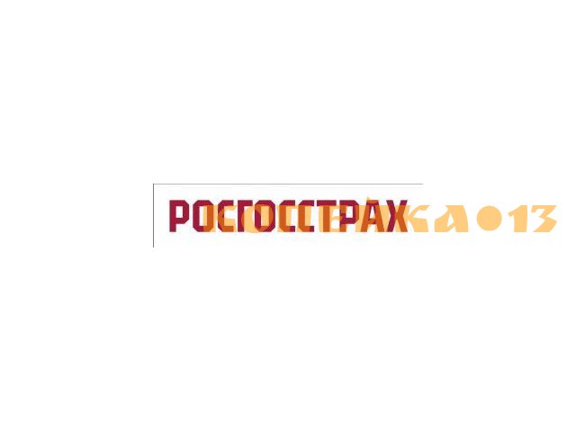 Менеджер агентской группы (село Кемля, Ичалки, Рождествено)