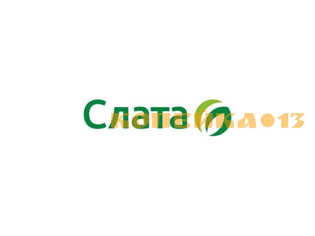 Продавец (Новая Дача)