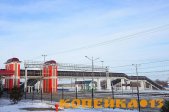 Поликарбонат сотовый и монолитный фото2
