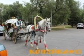 карета "Золушка" фото1