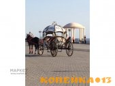 карета "Золушка" фото2