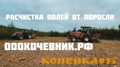 Услуги/Аренда Мульчера. Комплексная расчистка с/х полей. Валка леса фото1